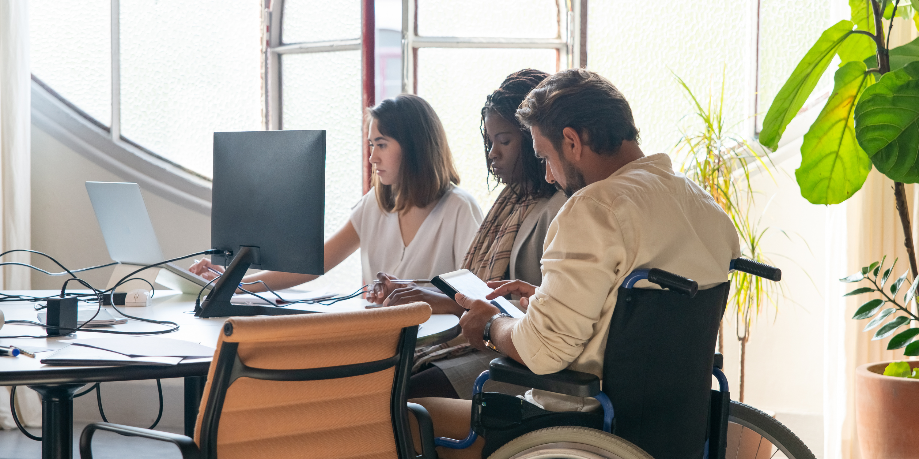 plazos bajas e incapacidades
